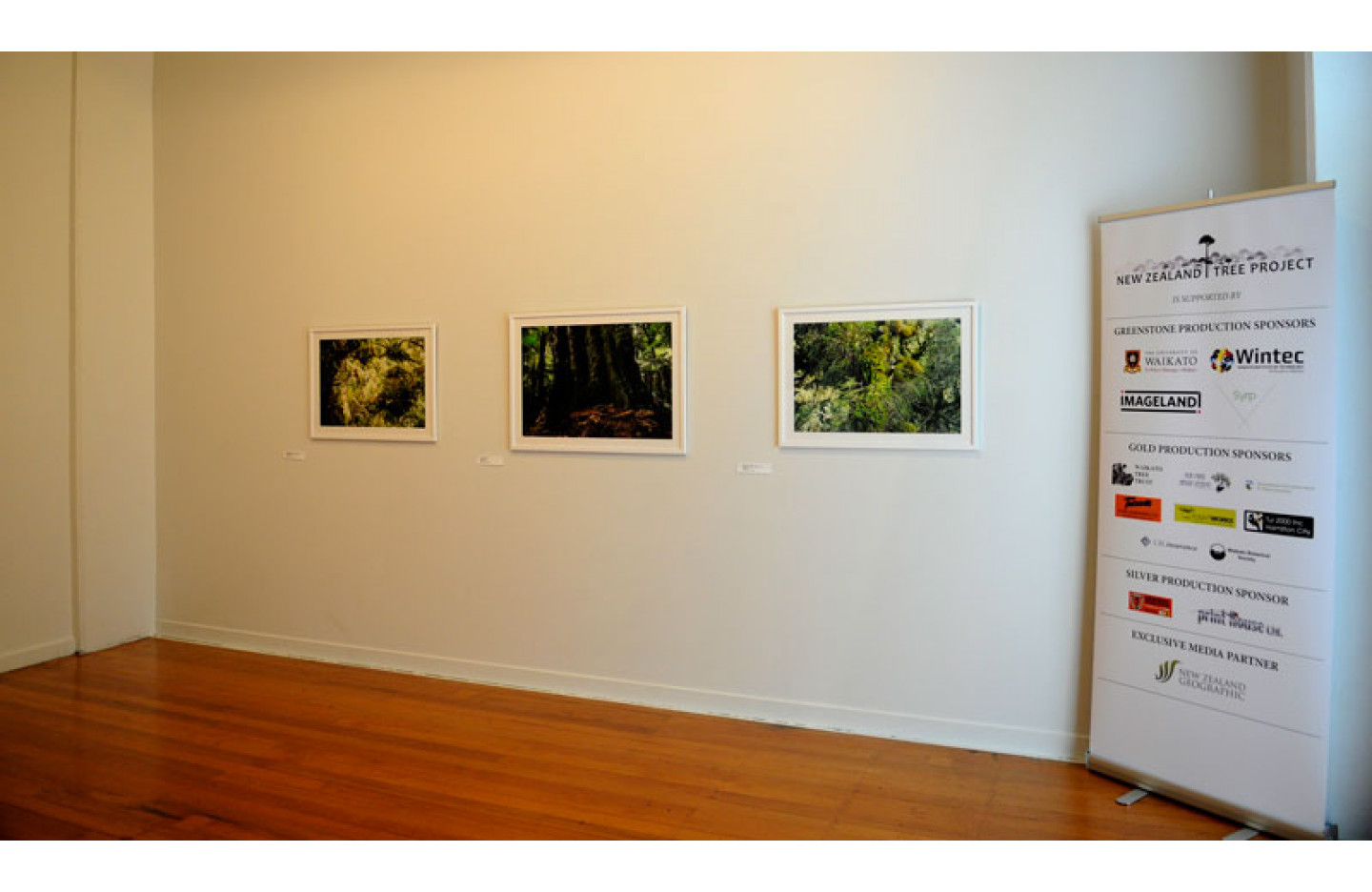 Installation Image of "The New Zealand Tree Project", Ramp Gallery Dec 2015. Including: Steven Pearce, Catherine Kirby and Andrew Harrison